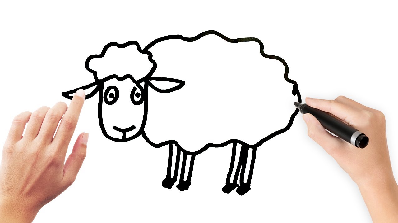 How to make a cute goat step by step | coloring, drawing, writing for kids