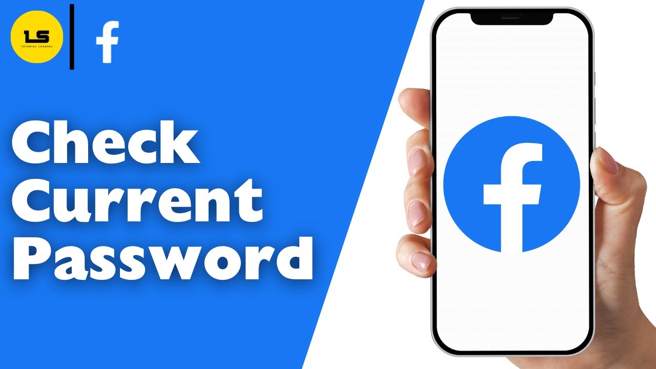 How To Check Current Password On Facebook 2026