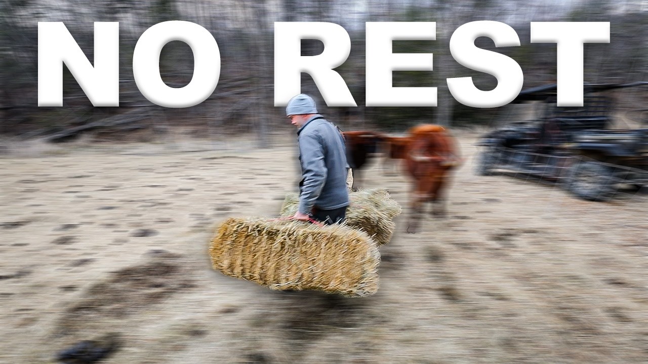 No Rest For The Sick
