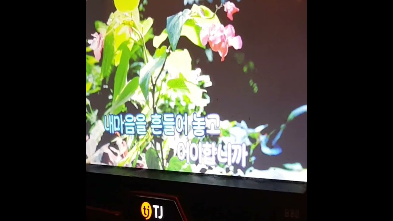 #선예지#약속을해줘요 #Promise me #Sun Ye Ji #cover 