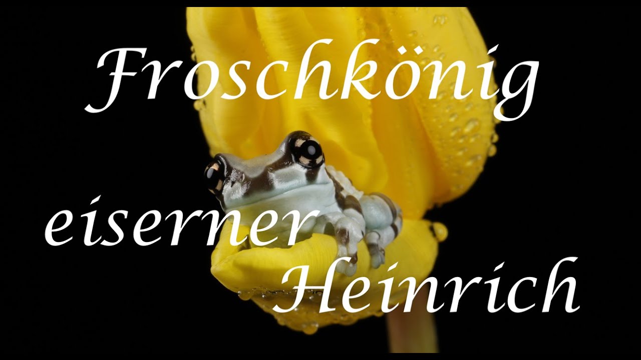 Kim's Märchen: Der Froschkönig - Interpretation - Ahnenmedizin & Seelenhomöopathie - Kim Fohlenstein