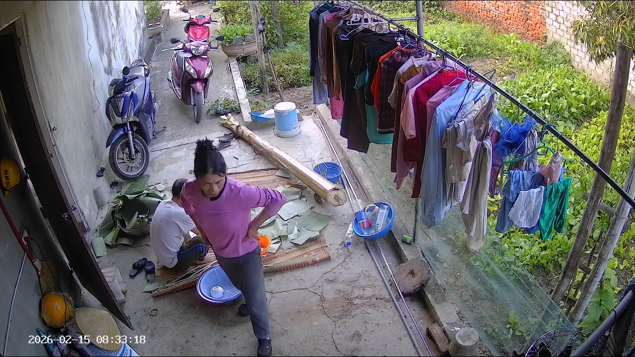 Tết 2025-2026 bố gói bánh chưng