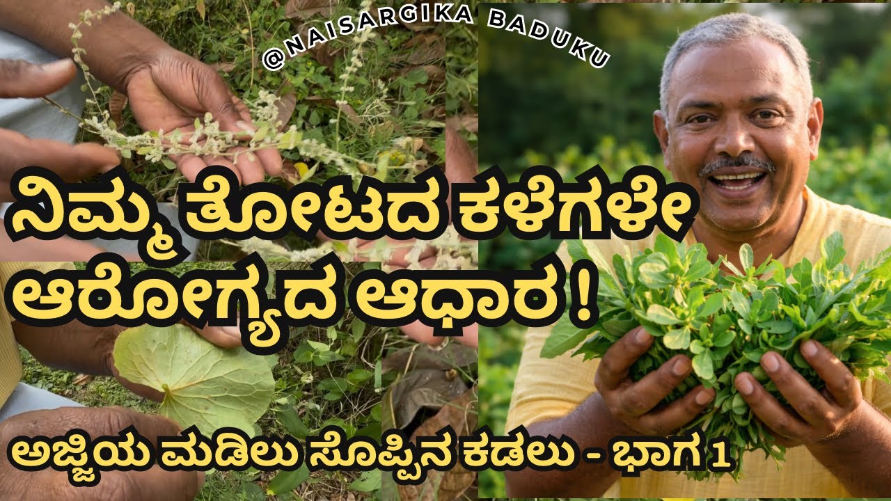 ನಿಮ್ಮ ತೋಟದ ಕಳೆಗಳೇ ಆರೋಗ್ಯದ ಆಧಾರ | Wild Edible Plants In Kannada | ಅಜ್ಜಿಯ ಮಡಿಲು ಸೊಪ್ಪಿನ ಕಡಲು - ಭಾಗ 1