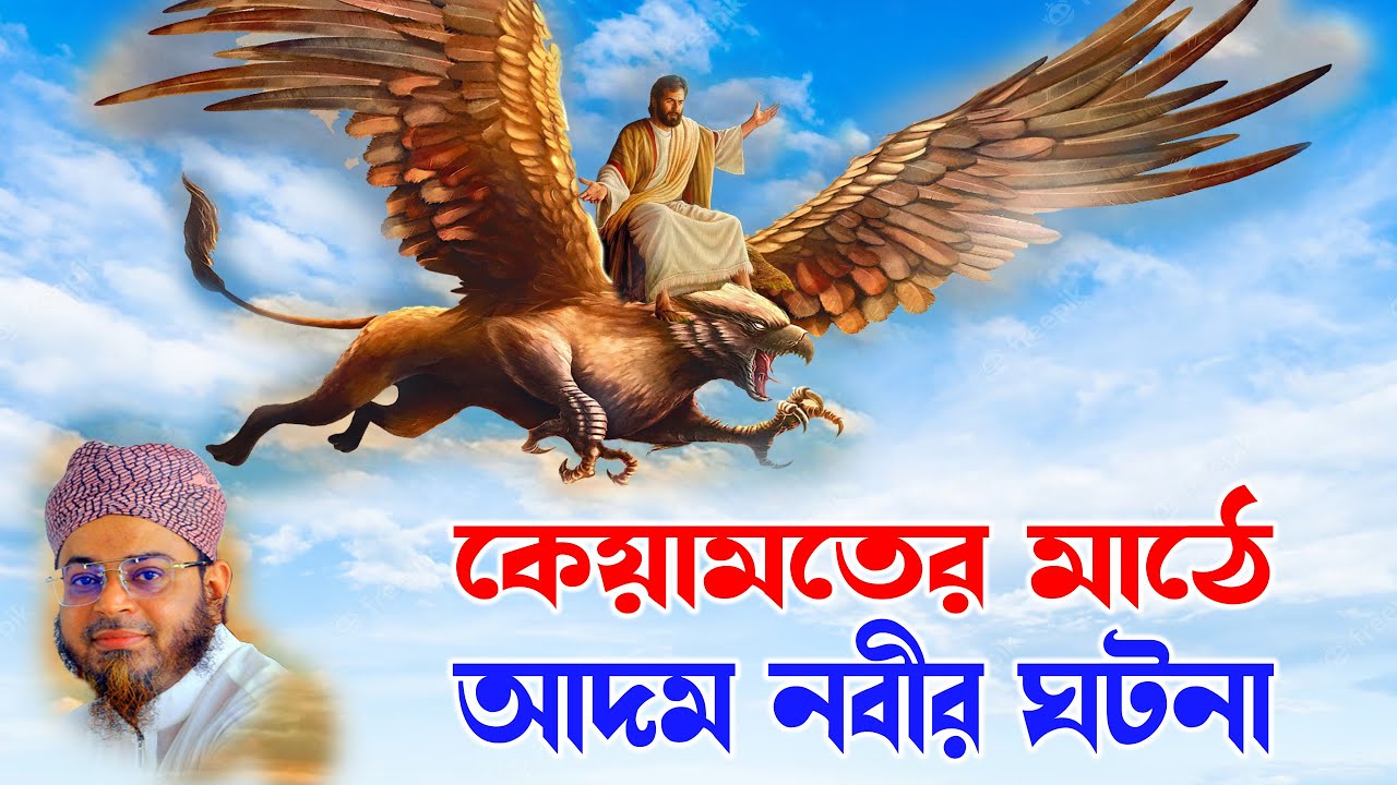 Mufti Nasir Uddin Ansari । মুফতি নাসির উদ্দিন আনসারী - হাশরে আদম আ: ও বিশ্বনবী - bd bayan | bd waz-