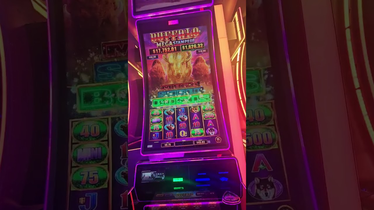 BUFFALOOOO MEGA STAMPEDE NEW GAME AT PALMS CASINO YEAHHHH VIVA LAS VEGAS 🤩 🤑 🥳 🔥 