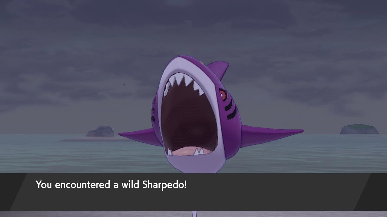 Shiny Sharpedo ATTACKS ME in the Isle of Armor after 3180 encounters!!!