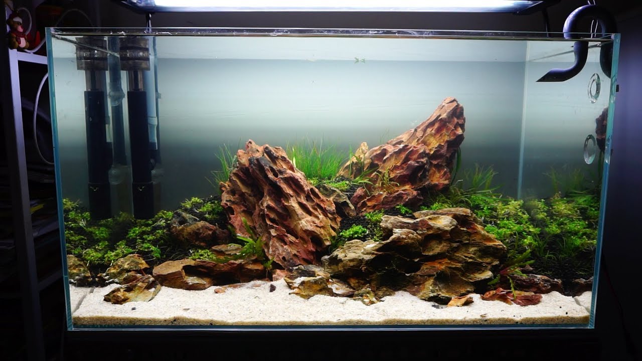 Step by step aquascape time lapse: Aqueous Reflection 60cm