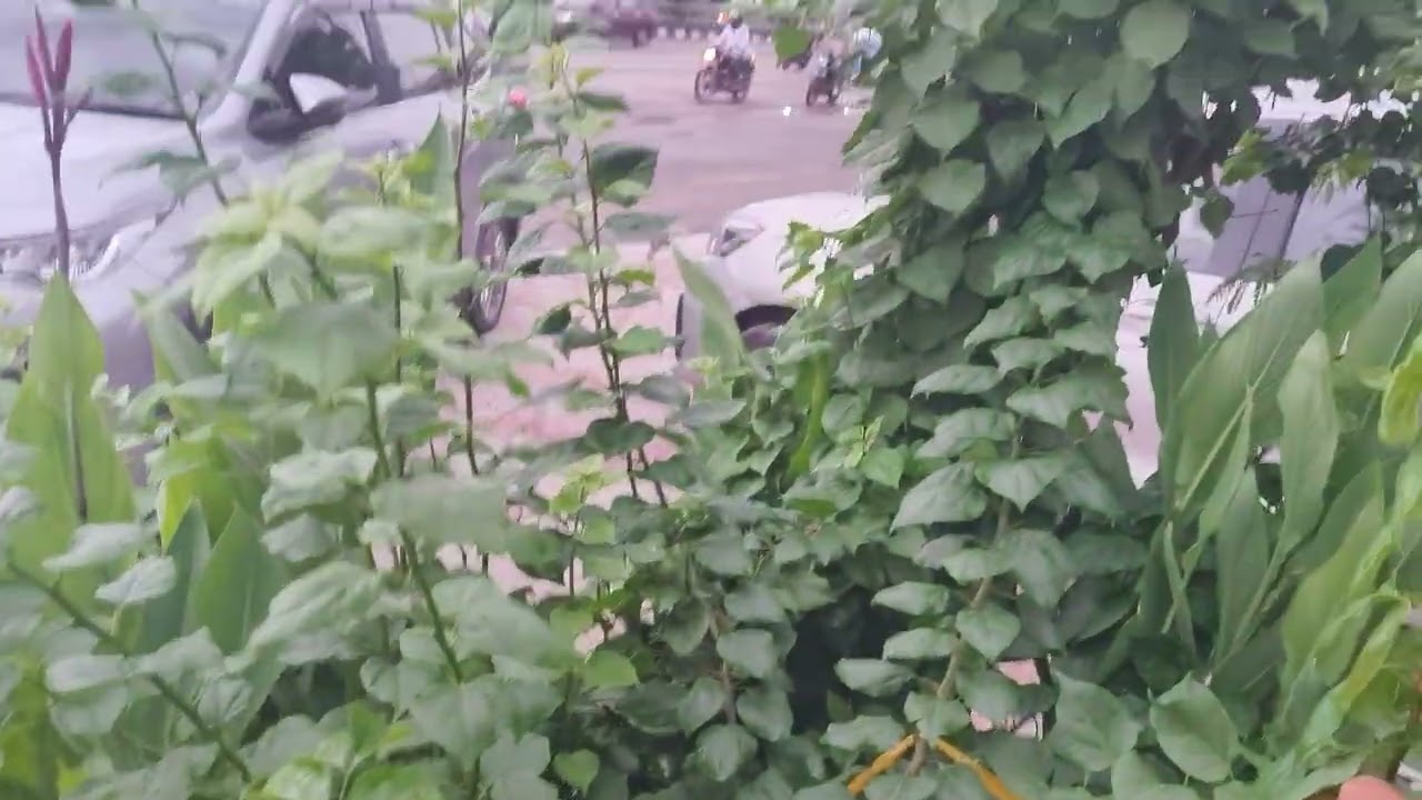 Chhatarpur Delhi traffic update