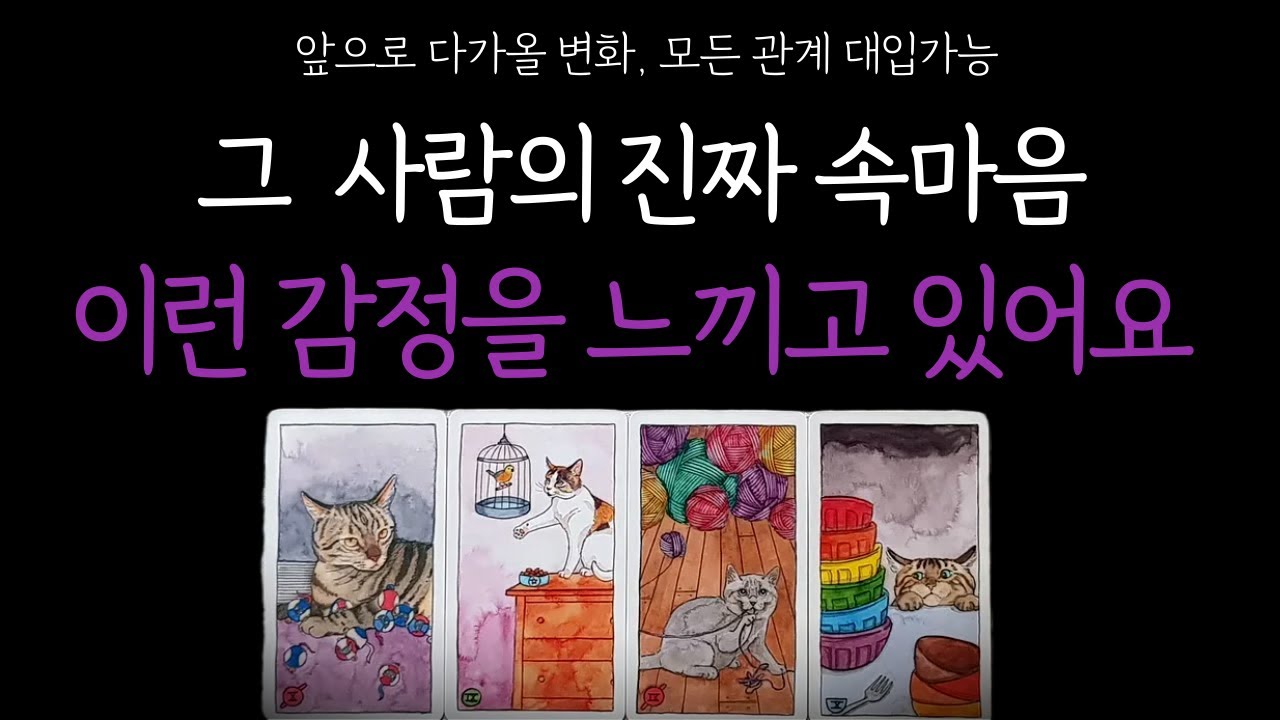 [타로 속마음] 지금 그 사람의 진짜 감정과 생각을 확인해 보세요! (상대방 속마음,진심,앞으로 보여줄 행동, 관계흐름) 솔로 썸 이별 재회 짝사랑 커플 연애운
