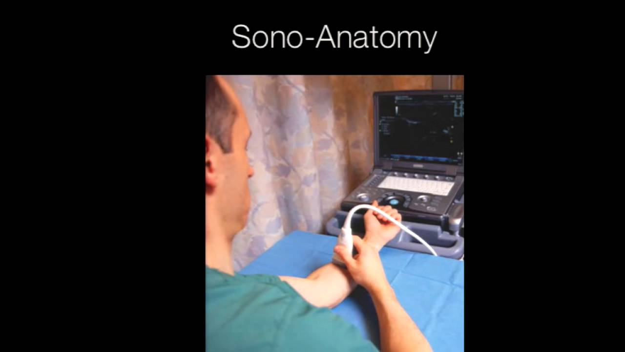 Regional Anesthesia - Teaching Models for Needle Tracking and Needling