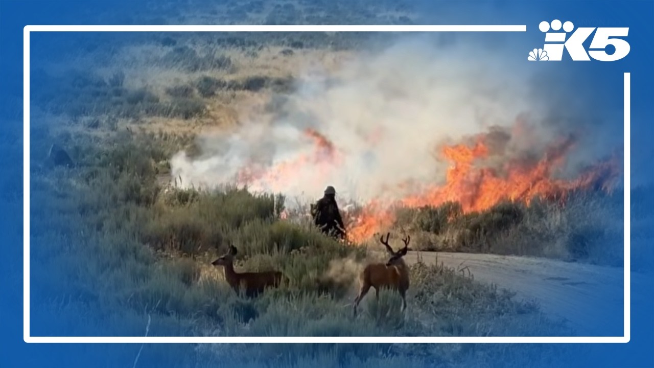 Rare emergency alert issued for eastern Washington due to wildfire risk