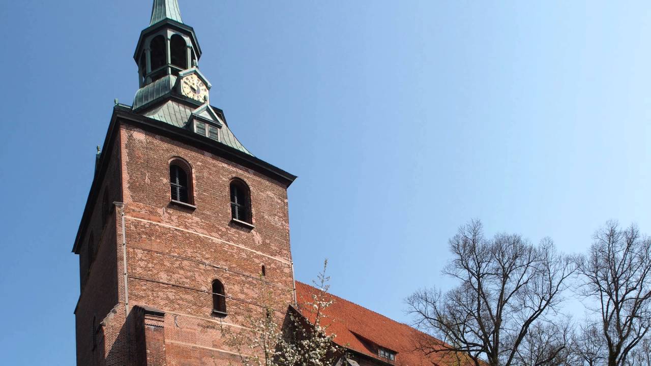 Lüneburg St. Michaelis Plenum