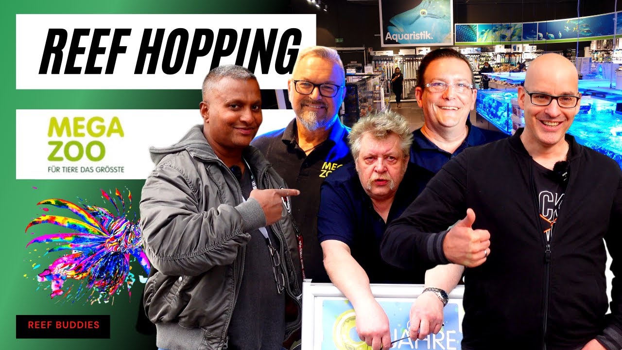Besuch im Meerwasser Shop / MEGA ZOO / 9. Geburtstag mit Mark Flato