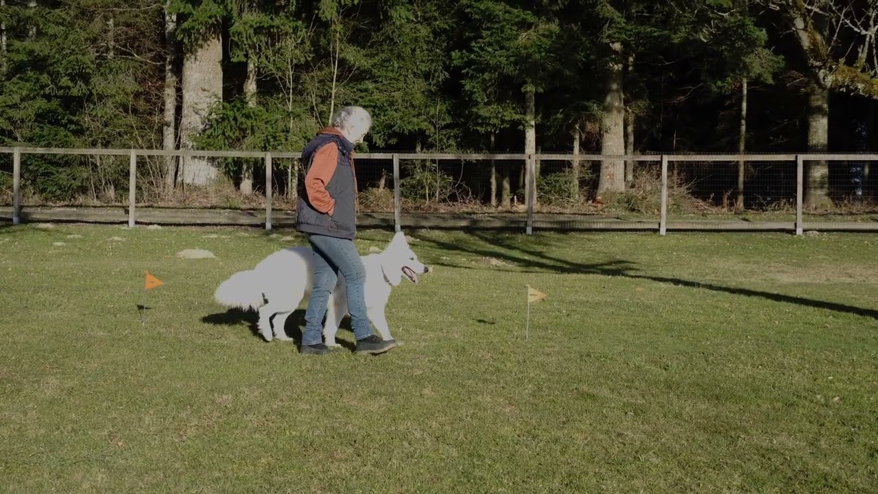 Leslie McDevitt's LAT mit Fynja