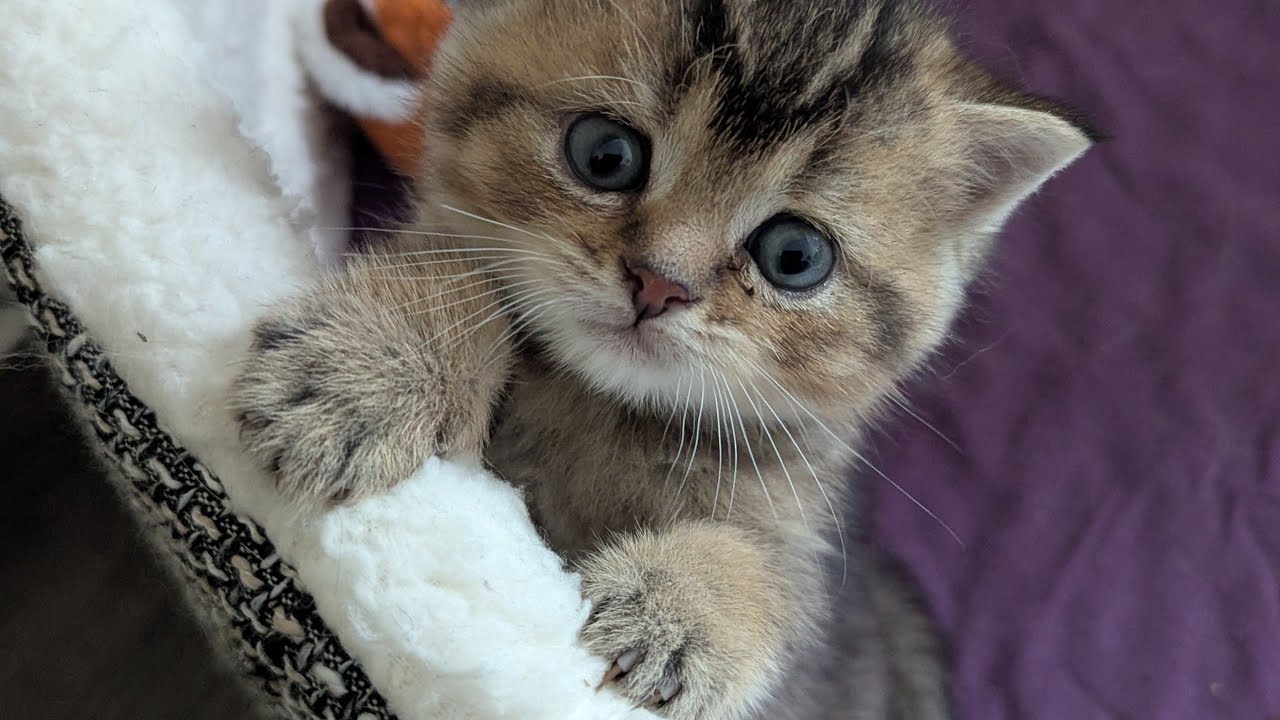 🥰😽😽