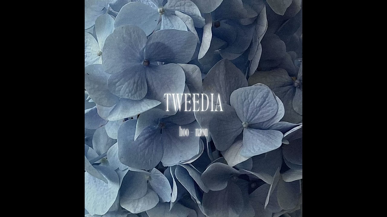 TWEEDIA - hoo , naon , thanhluan (OFFICIAL AUDIO)