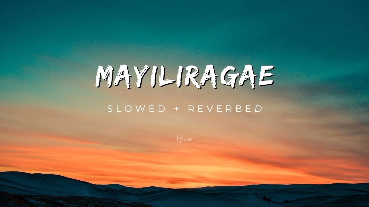 Mayilirage - slowed + reverbed | Anbe Aaruyire | Lost in Songs