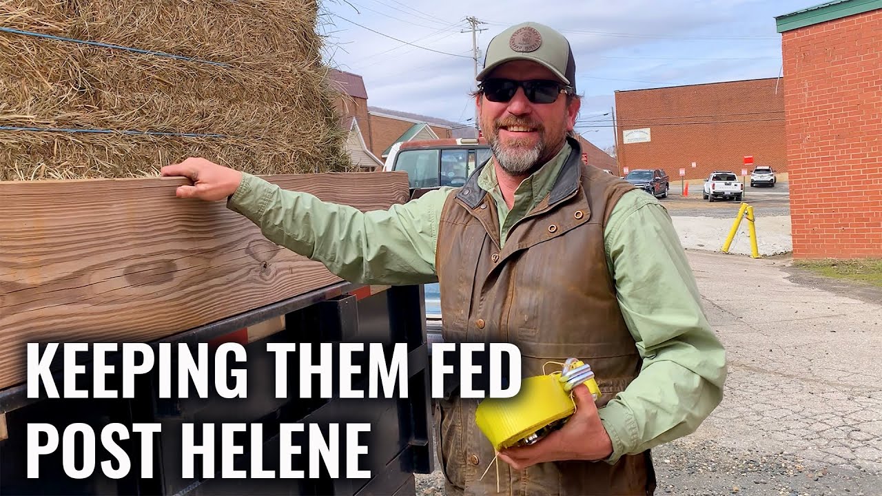 Keeping them Fed in WNC after Helene