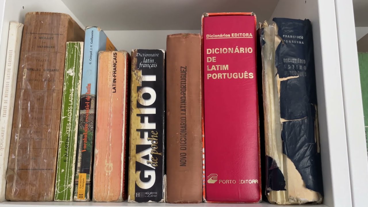 Os meus dicionários de Latim (em papel)