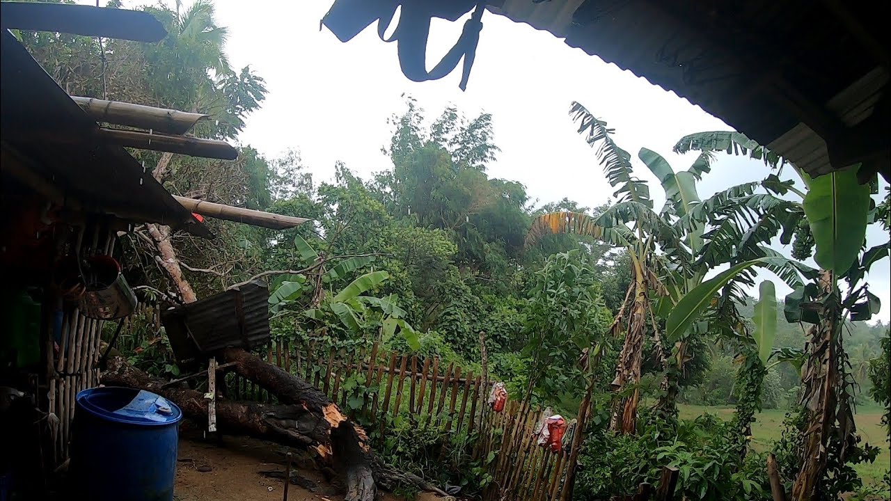 Naabutan kami ng bagyo sa bukid