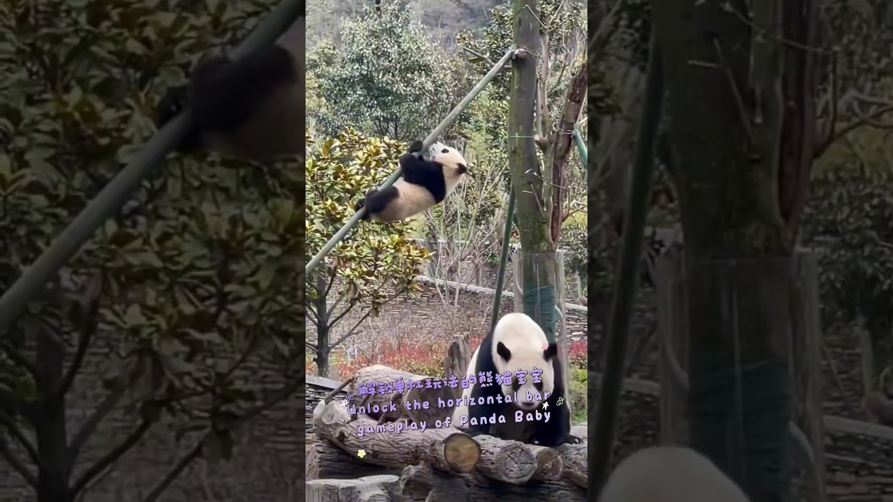 Panda Baby Unlocking Sliding Steel Tube Skill