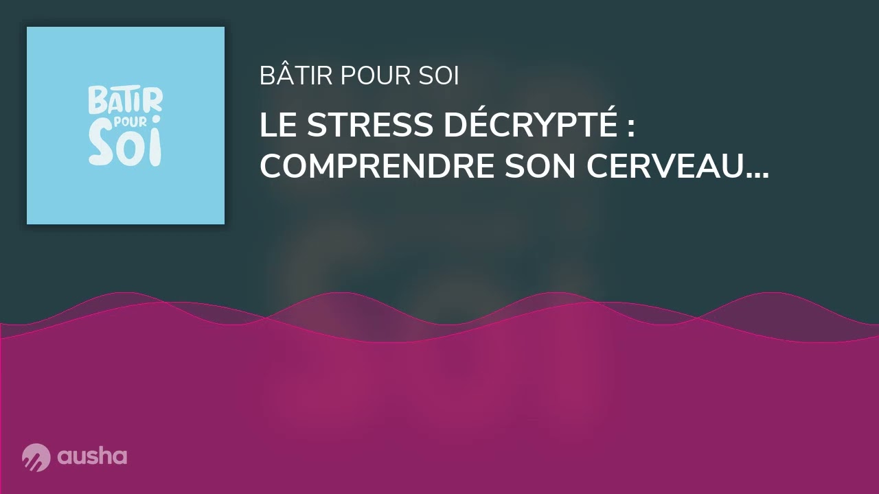 LE STRESS DÉCRYPTÉ : COMPRENDRE SON CERVEAU ET LE REPROGRAMMER
