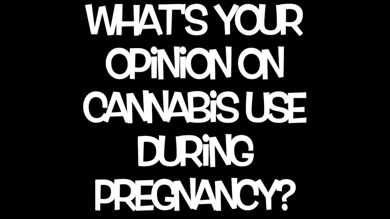 DiasporaPlatform Session 1 (Preview)