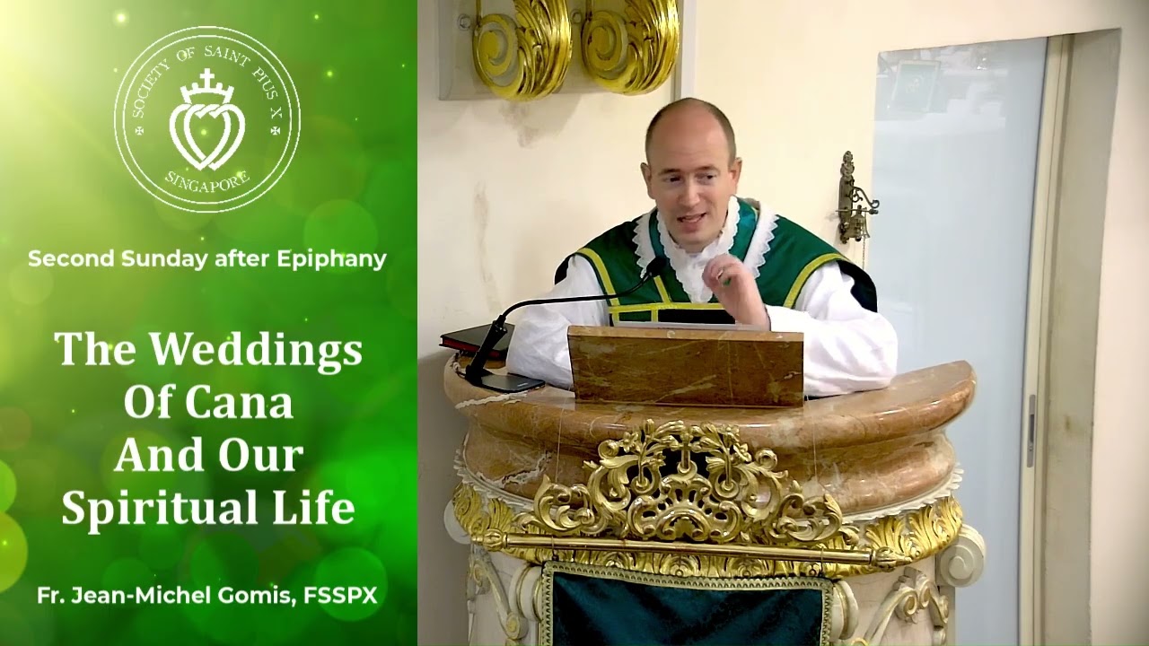 The Weddings Of Cana And Our Spiritual Life - Sermon by Fr Gomis (18 Jan 2026)