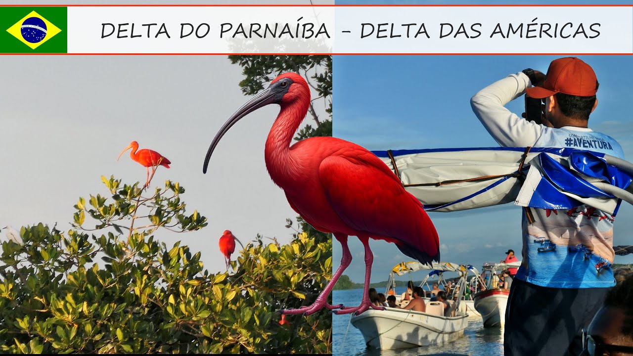 DELTA DO PARNA&Iacute;BA &ndash; DELTA DAS AM&Eacute;RICAS &ndash; BRASIL