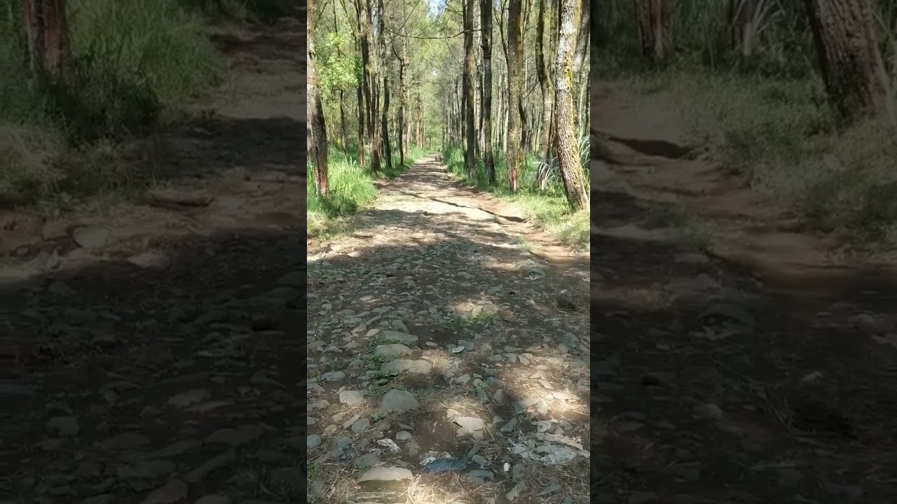 Google Pixel 2 Video Test Tahun 2023 Masih Istimewa 
