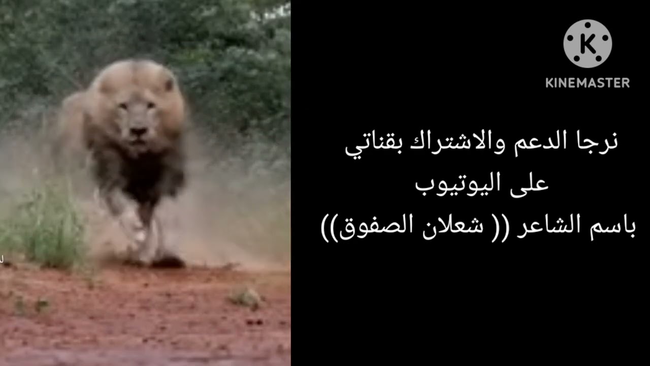 ٢٤ أكتوبر ٢٠٢٥