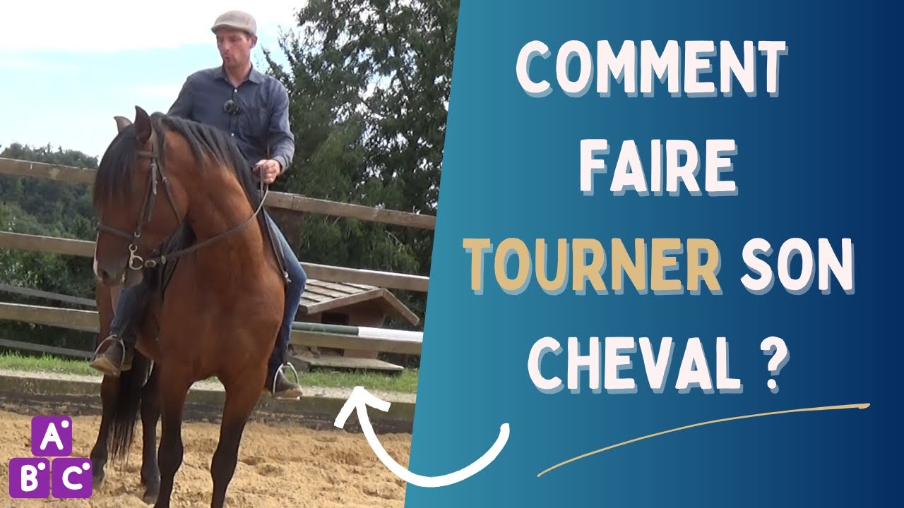 ⭐ Comment faire tourner son cheval ⭐