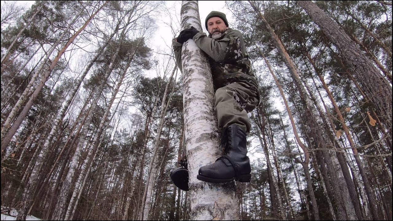 Моя встреча с тигром, или 2 способа быстро залезть на дерево
