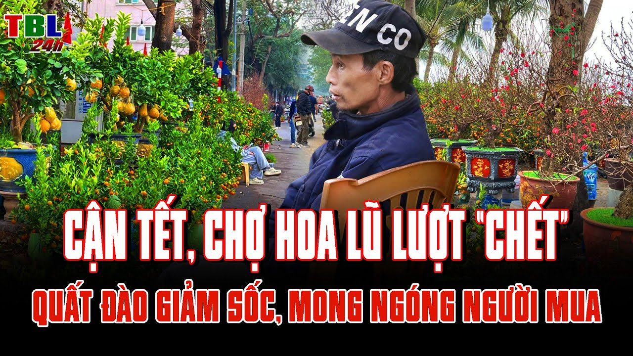 Cận Tết, chợ hoa LŨ LƯỢT “CHẾT”: Quất đào đua nhau GIẢM SỐC, MONG NGÓNG người mua