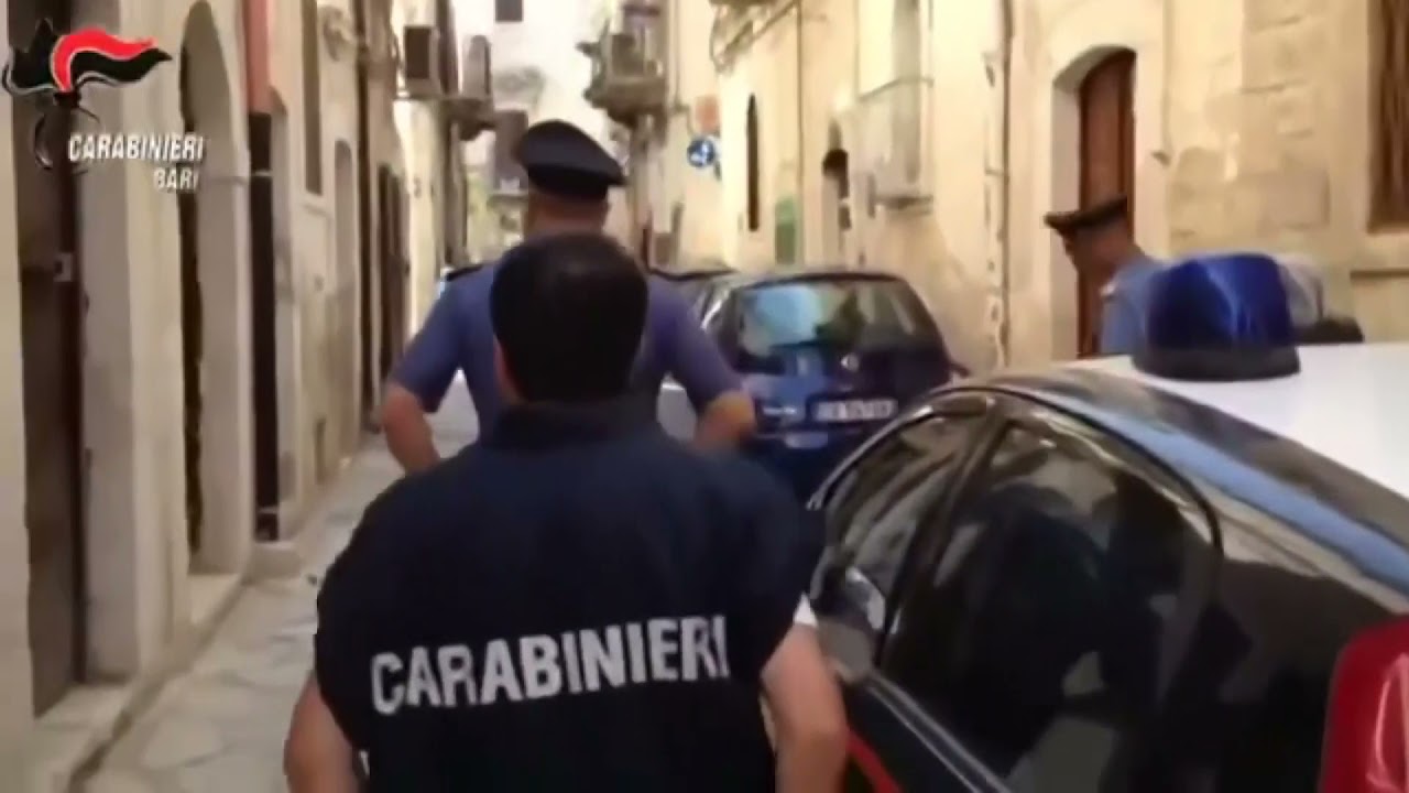 Toritto, sorpresi con un carico di legna rubata: denunciata coppia del posto