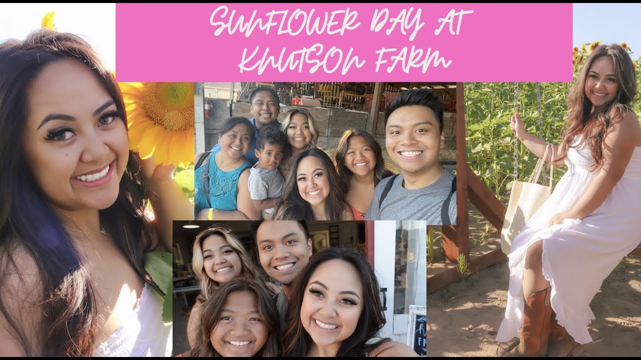 Sunflower Day At Knutson Farms | Summer 2022