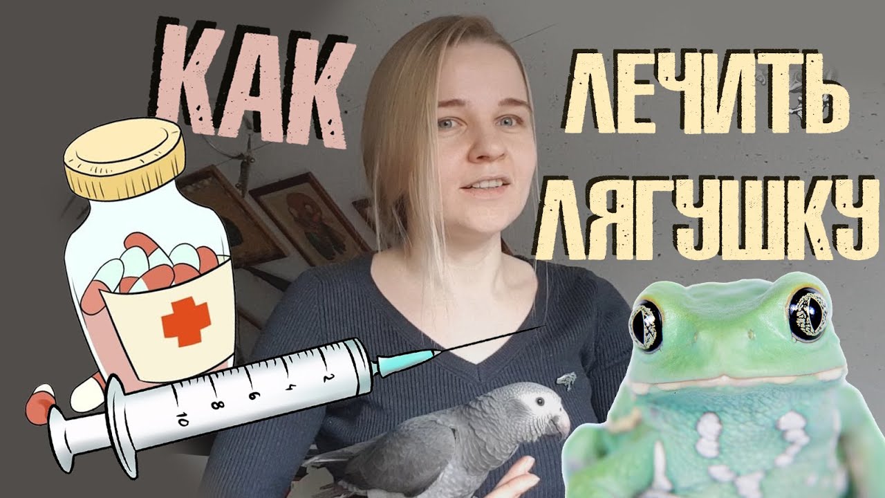Принципы лечения амфибий