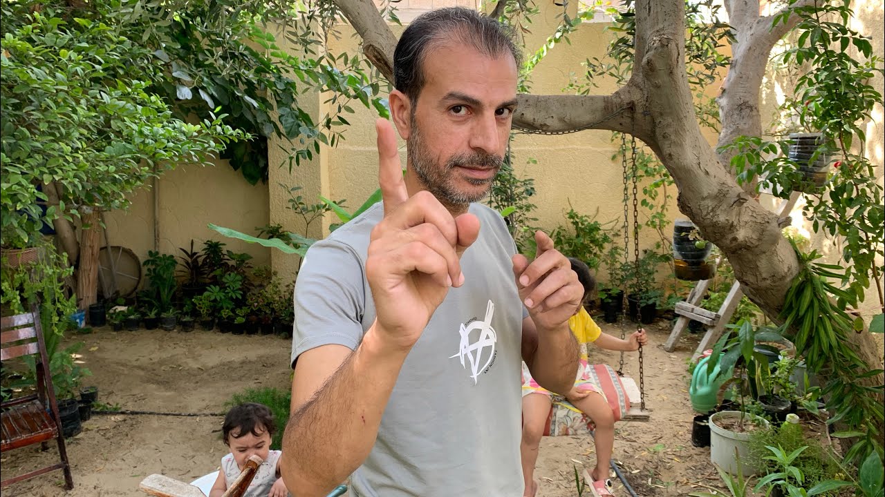 لا تشتري آي شجرة أو شتلة وتدفع ثمنها قبل آن تشاهد هذا الفيديو 🙏🪴🌿