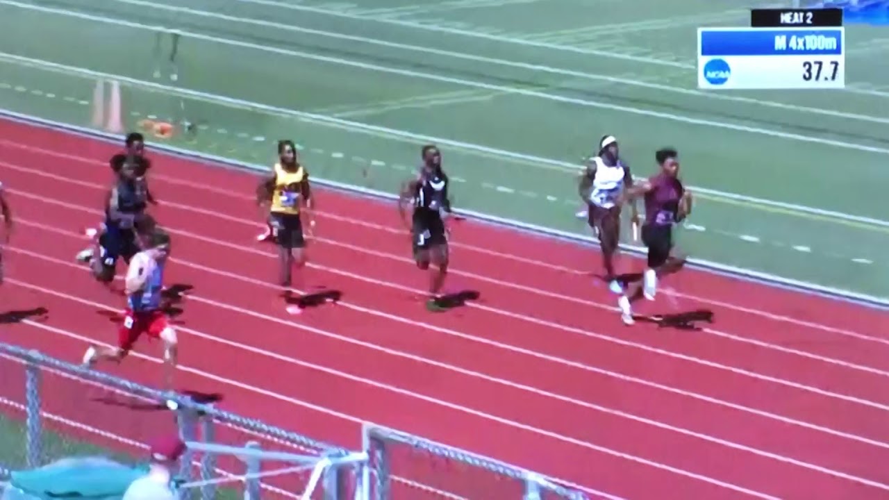 Eagles Compete at NCAA Outdoor Nationals