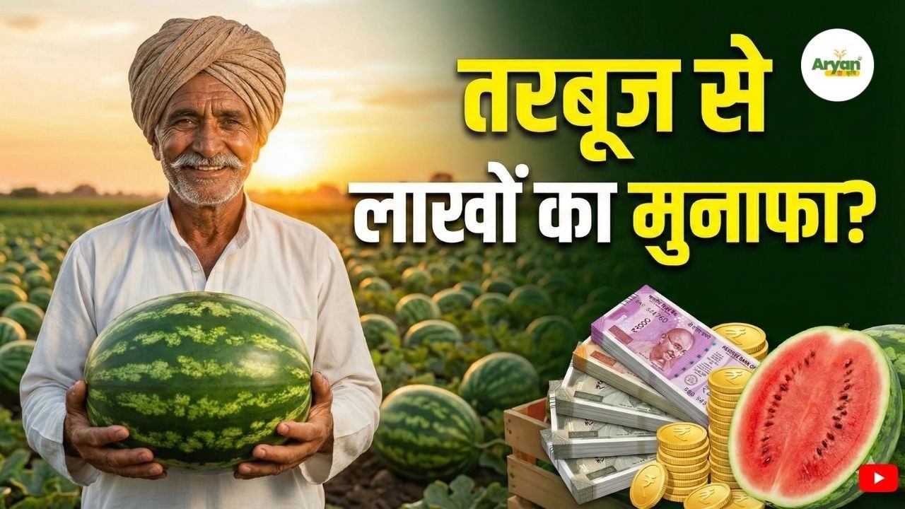 तरबूज की खेती 2026: Watermelon Farming Tips, 60 Days Profit & High Yield Guide #farming #watermelon