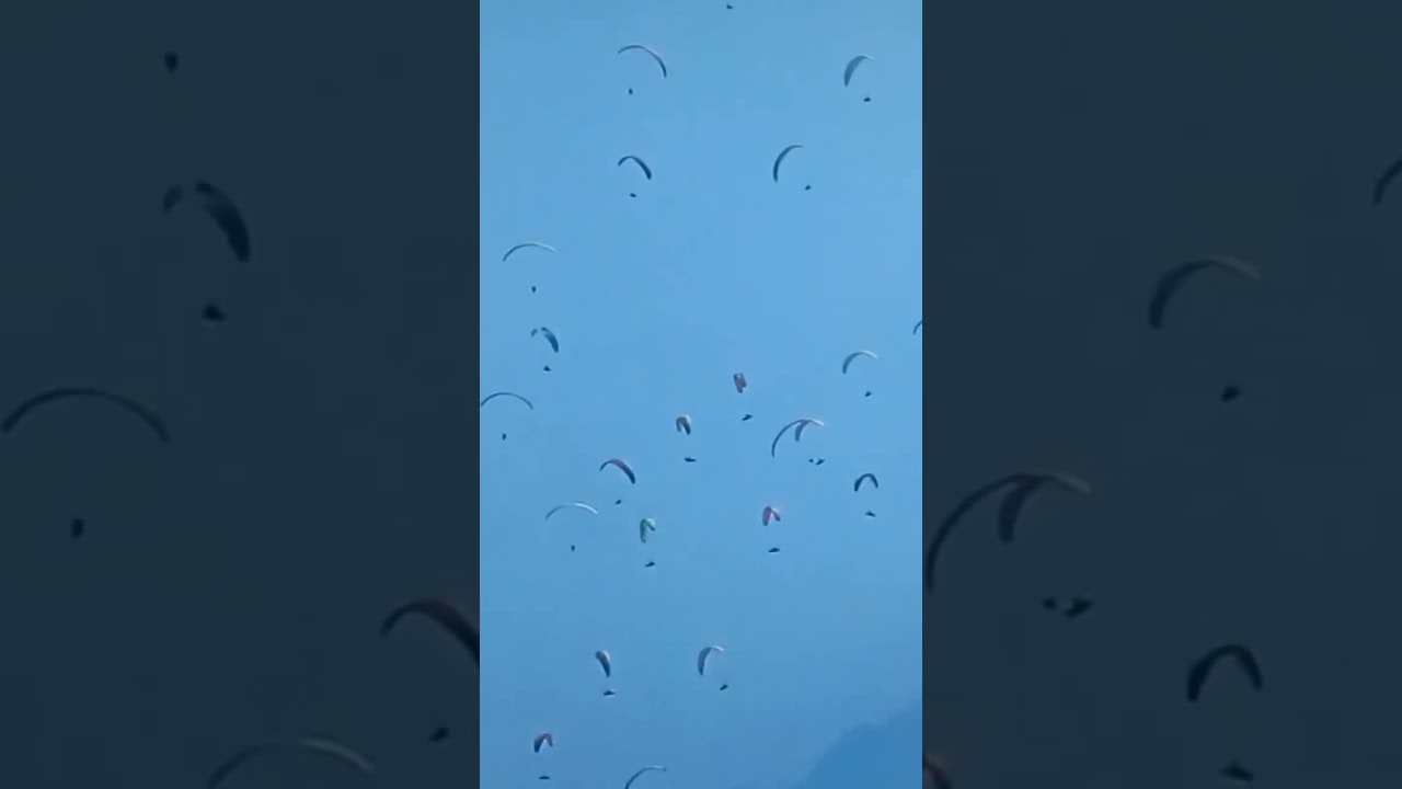 #paraglidingworld #subscribe #viralshorts come to Bir biLling contact me 8988486410