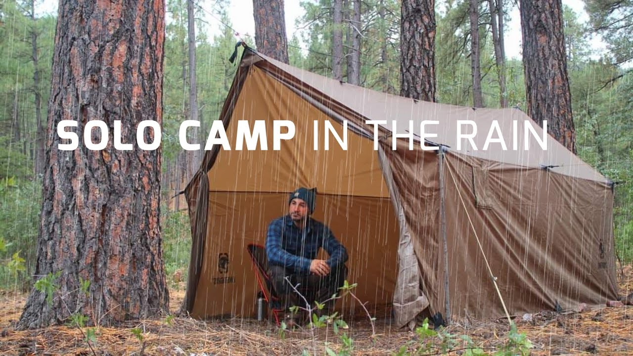 Solo Camping in Rain with My Dog . Rain ASMR