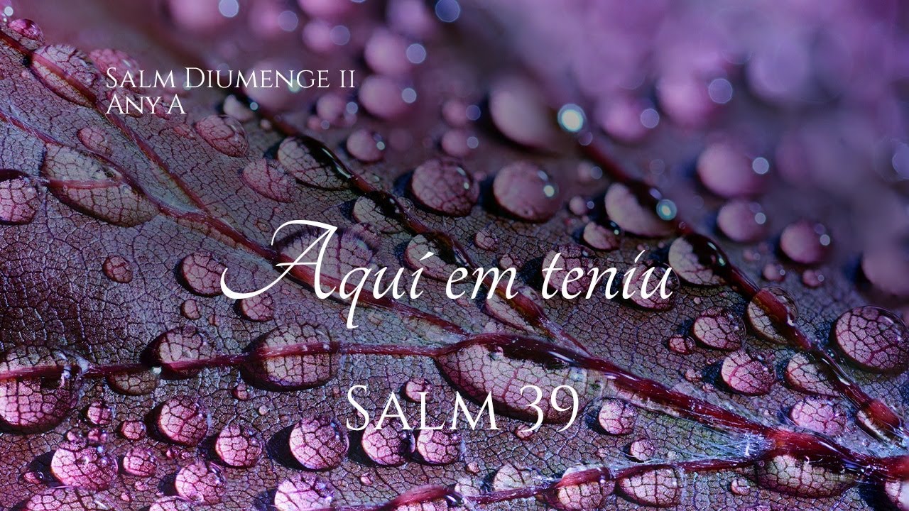 Salm 39 - Aquí em teniu