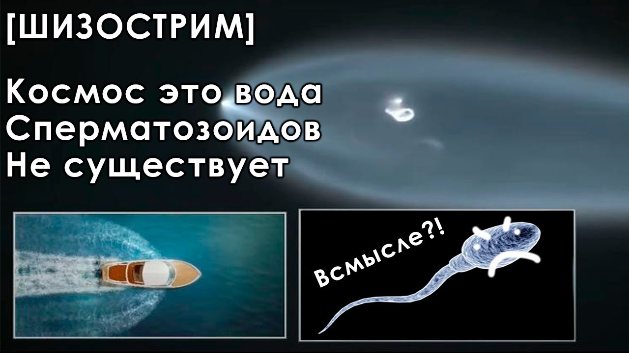 [Шизострим] Космос это вода и Сперматозоидов не существует? - Давг, Хакели и Пут