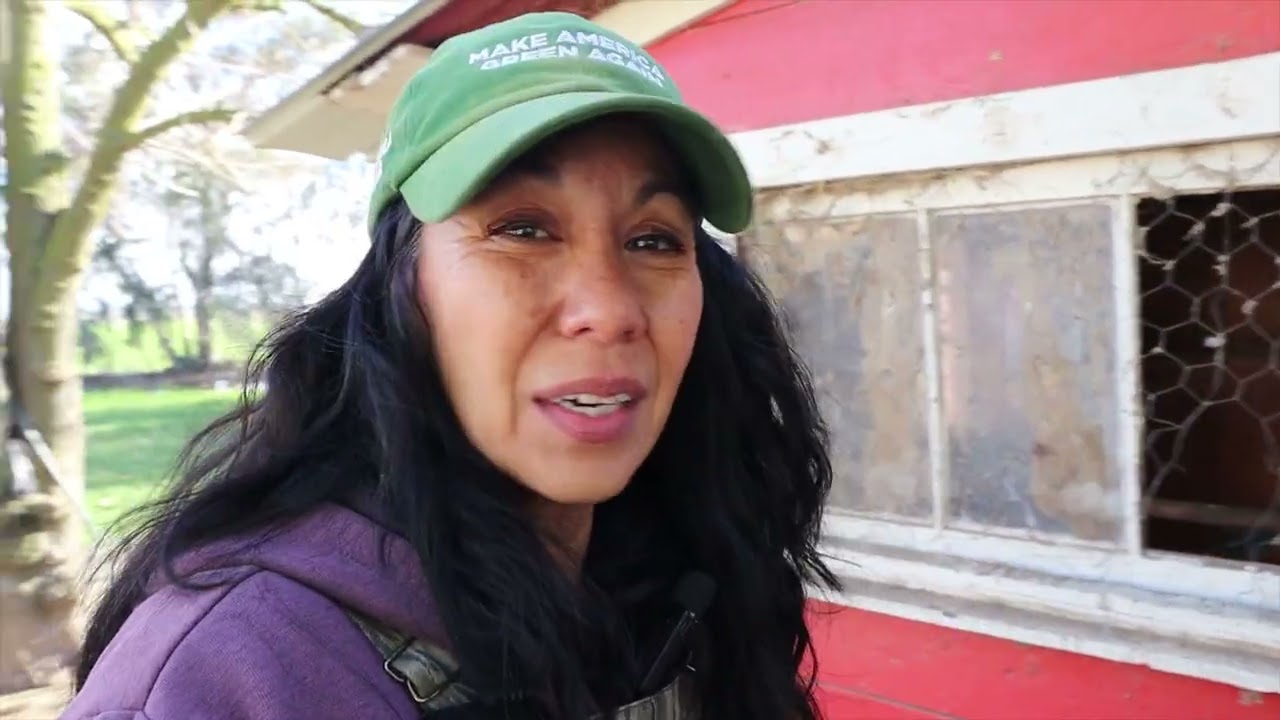 Getting Ready for the New Year: Cleaning the Chicken Coop & Tackling Goat Stall Flooding