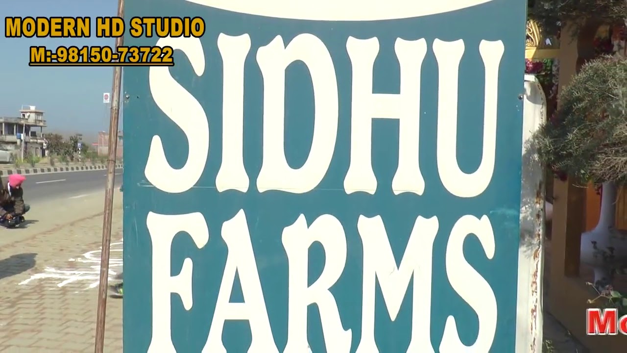 Sidhu farms SHERON
