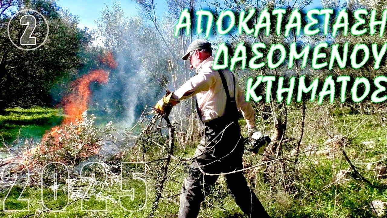 ΚΛΑΔΕΜΑ ΓΙΑ ΚΑΡΠΟΦΟΡΙΑ ΚΑΙ ΑΠΟΚΑΤΑΣΤΑΣΗ ΚΤΗΜΑΤΟΣ