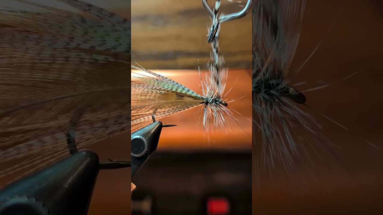 Hornberg Video
