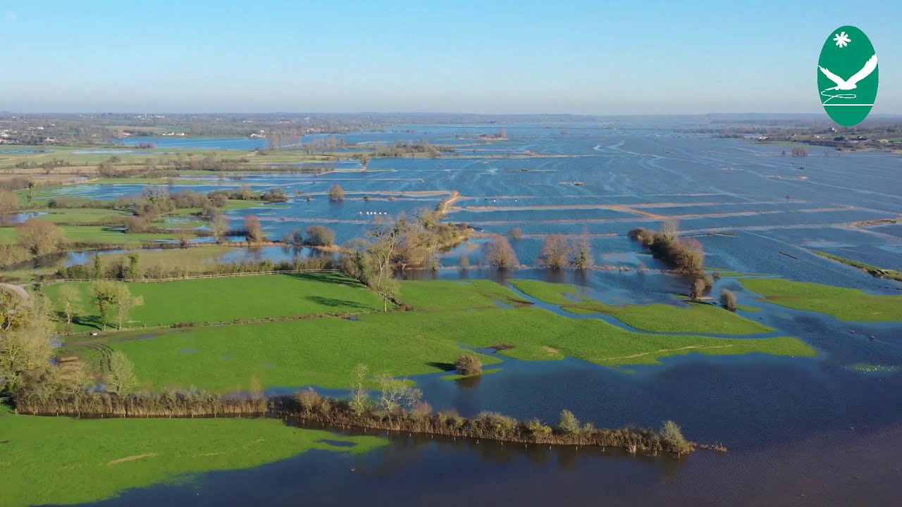 Les marais blancs de la Vall&eacute;e de l' Aure