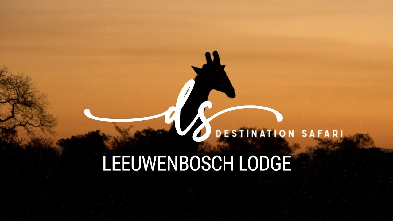 Destination Safari: Leeuwenbosch Country House